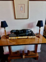 Art Deco Vintage Phenolic Amber Bakelite Lamps